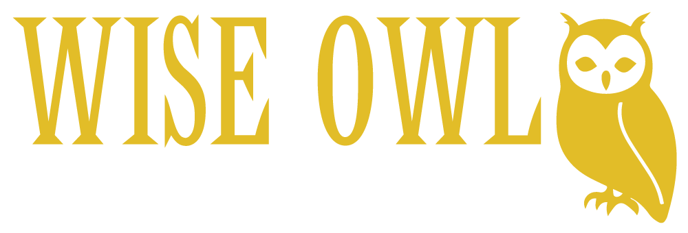 Wise Owl Bird of Prey Rescue